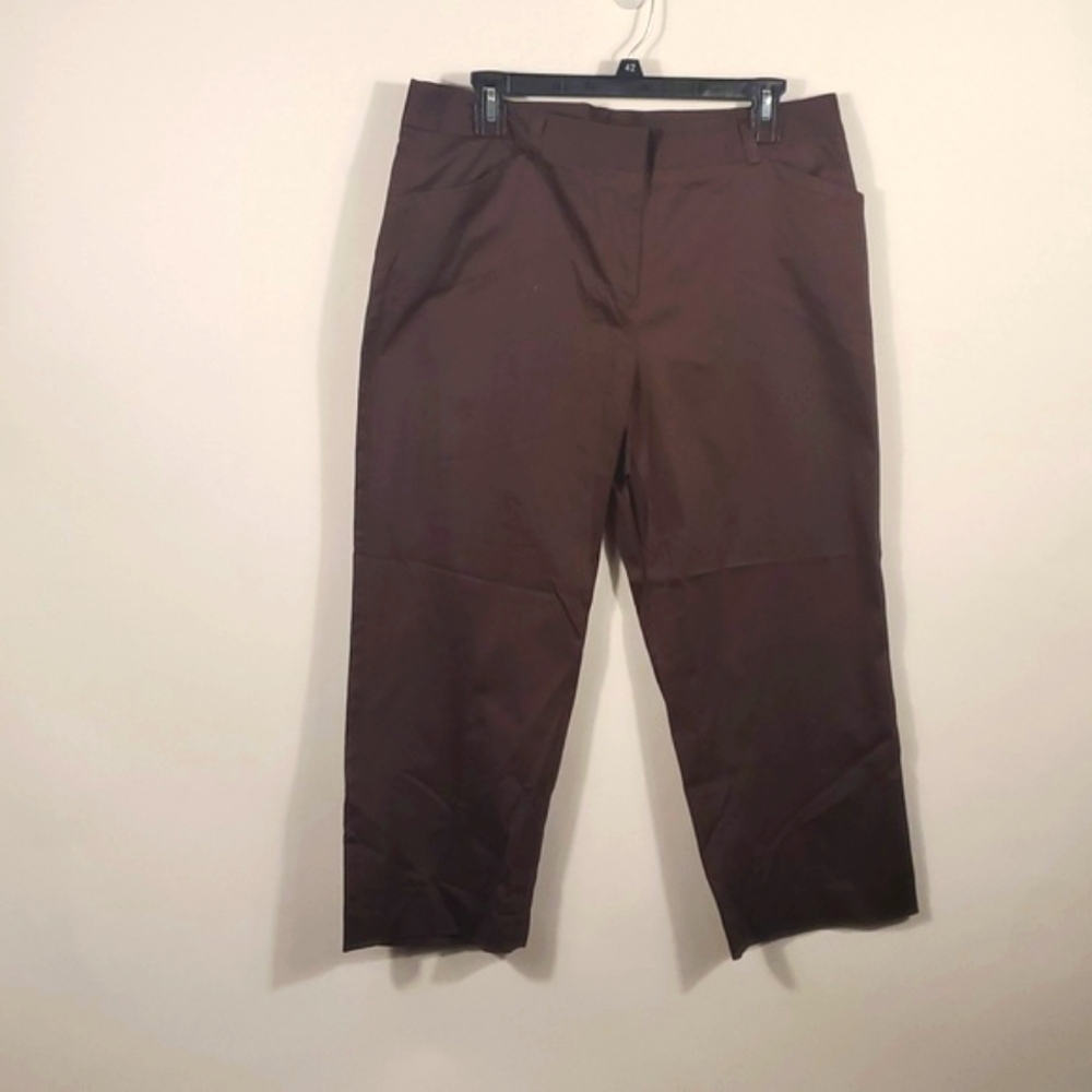 Attenttion casual Modern Fit Brown Pants Size 12 NWT